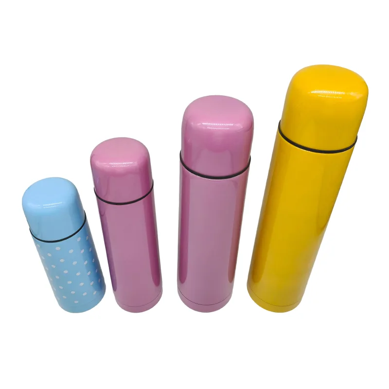 Double Wall Stainless Steel Flask
